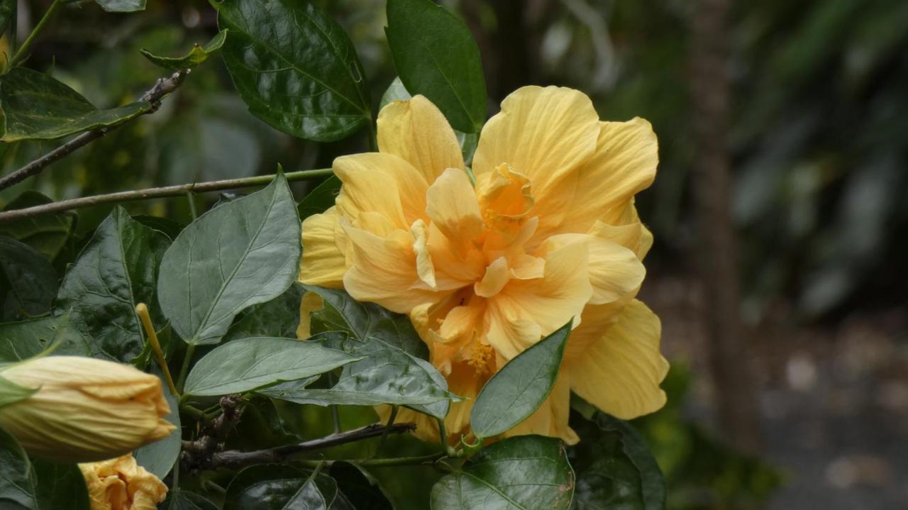 La Case Floria Saint-Andre Εξωτερικό φωτογραφία